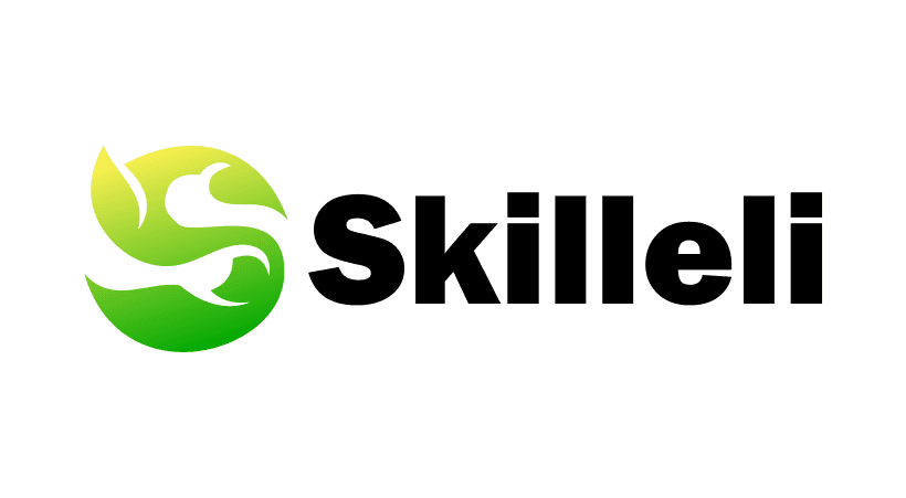 skilleli.com